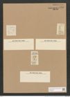 Libellus constrictus (Ehr.) D.T. (de-Toni-Nr.: Genus 5, Species 858) Zeichnungen Sammlung Grunow Nr. 1706 (NHMW-BOT-W0368580)